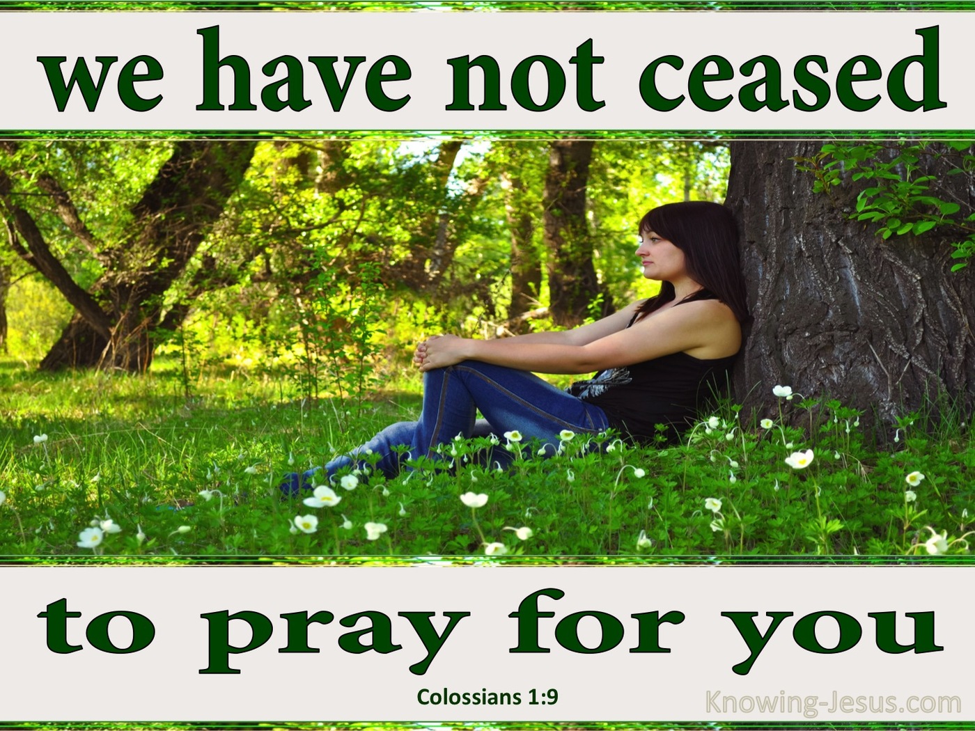 Colossians 1:9 For This Reason We Pray For You (green)